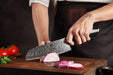 Xinzuo B32 Feng Japanese Style Santoku Knife 67 Layers Damascus Wickedly Sharp - The Bamboo Guy