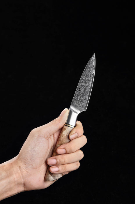 Hezhen B30 Forged Damascus Stainless Steel Kitchen Japanese style Paring Knife - The Bamboo Guy