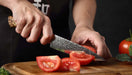 Hezhen B30 Forged Damascus Stainless Steel Kitchen Japanese style Utility Knife - The Bamboo Guy