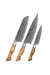 Hezhen 3pcs Knife Set Damascus Steel Kitchen Japanese style Chef Utility Santoku Knife - The Bamboo Guy