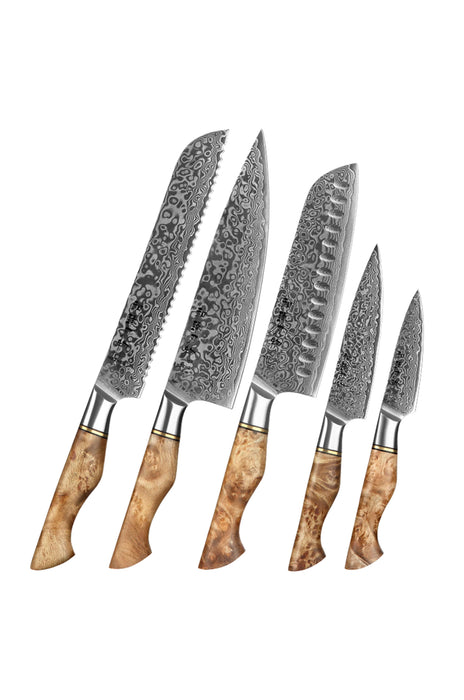 Hezhen 5pcs Set Damascus Steel Chef Santoku Utility Bread Paring Kitchen Knives - The Bamboo Guy