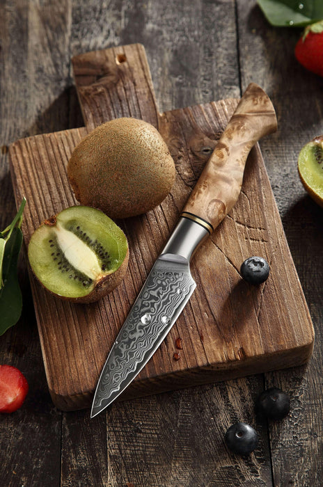 Hezhen B30 Forged Damascus Stainless Steel Kitchen Japanese style Paring Knife - The Bamboo Guy