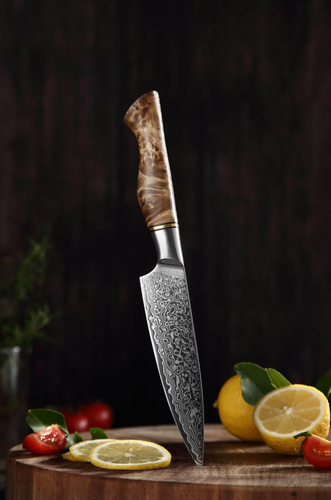 Hezhen B30 Forged Damascus Stainless Steel Kitchen Japanese style Utility Knife - The Bamboo Guy