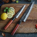 Hezhen PM8S Chef and Nakiri Knife Set 10cr Steel Core Stainless Steel VG10 equiv - The Bamboo Guy