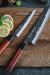 Hezhen PM8S Chef and Nakiri Knife Set 10cr Steel Core Stainless Steel VG10 equiv - The Bamboo Guy