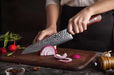 Xinzuo B9 Chef Knife Japanese Style 67 Layers Damascus Steel Rosewood Handle - The Bamboo Guy