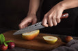 Xinzuo B9 Utility Knife Japanese Style 67 Layers Damascus Steel Rosewood Handle - The Bamboo Guy