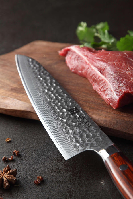 Xinzuo B9 Chef Knife Japanese Style 67 Layers Damascus Steel Rosewood Handle - The Bamboo Guy