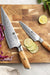 Xinzuo 2 Piece Set Japanese Damascus Stainless Steel Kitchen Chef Utility Knives - The Bamboo Guy